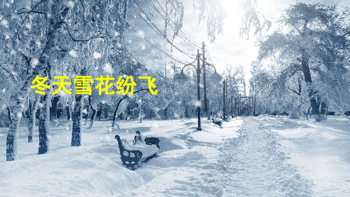 冬日飘雪，温暖故事终章