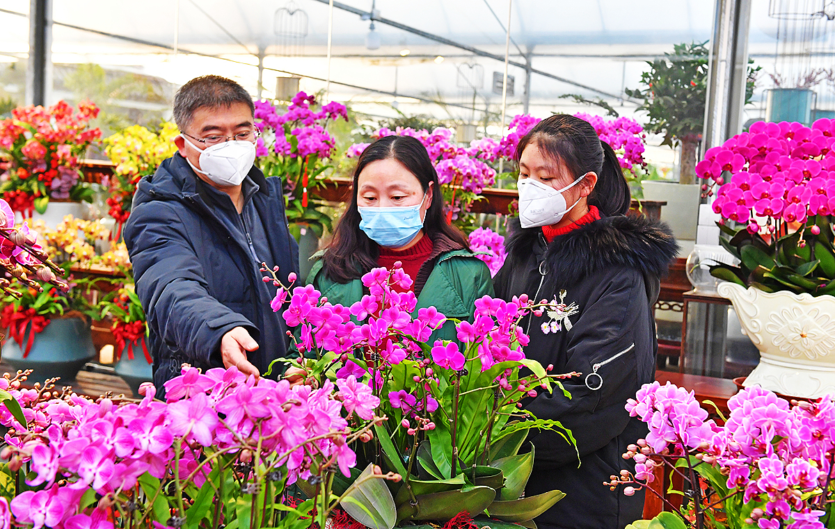 花开满途喜讯传