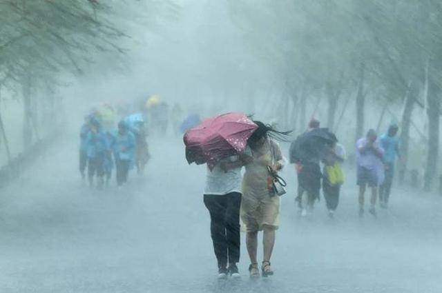 山东台风预警：风雨同舟，共迎平安风暴时刻