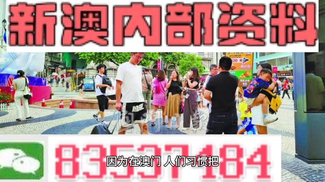 2024新澳门正版精准免费大全｜2024澳门正版免费资源汇总_重点解析落实方案