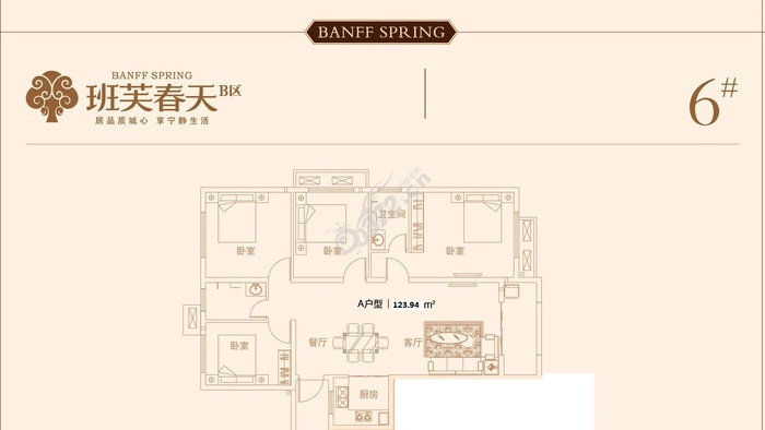 安阳班芙春天动态速递：最新资讯一览无遗