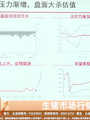 生猪市场最新动态解析与价格走势全面评估