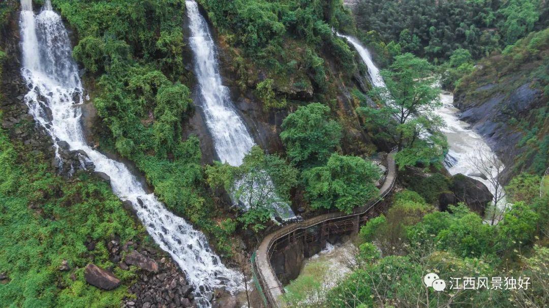 夏日营地水库最新资讯速览